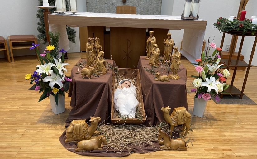 教会報 多摩カトリックニューズ 降誕節 新年号を発行しました。